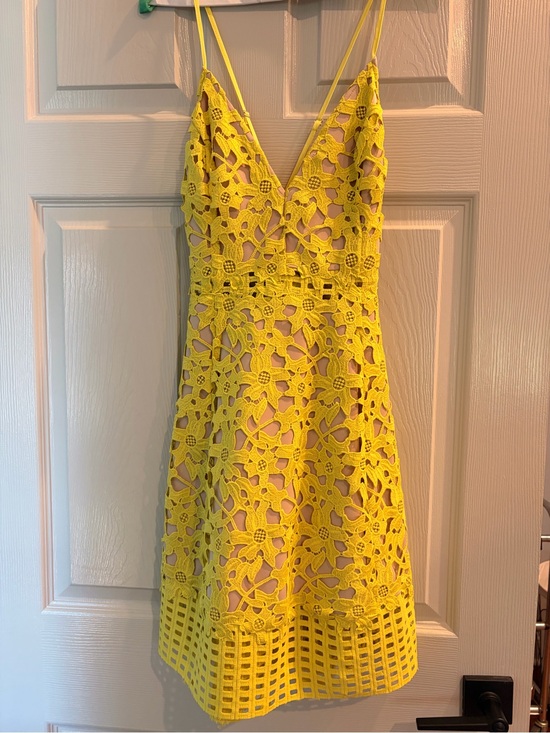 Lovers + Friends Dresses & Skirts - Lovers + Friends Yellow Floral Lace Mini Dress